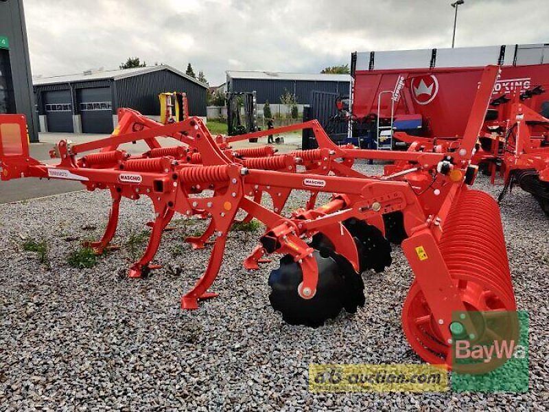 Maschio TERREMOTO 3 300