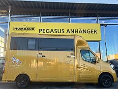 Renault Master JL 2 Pferdetransporter Vollalu 3,5t 1.Hnd