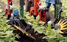 K.U.L.T Fingerhackset frei Haus!