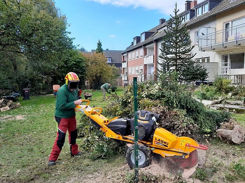 Laski Stubbenfräse Baumstumpffräse Stockfräse Wurzelstockfräse