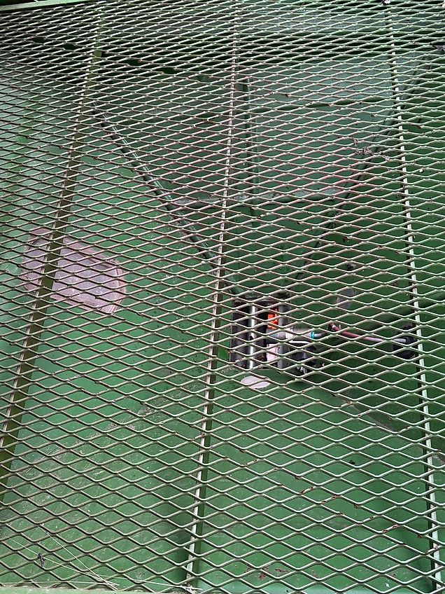 Amazone Primera DM 601